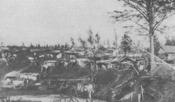 Застройка поселения в устье р. Каменки в середине 90-х годов XIX века