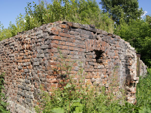 Руины здания в Военном городке. ул. Тополевая