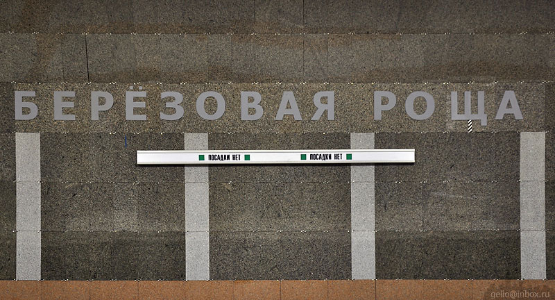 Станция «Берёзовая роща». Новосибирский метрополитен. Дзержинская линия. Фото: Степанов Слава